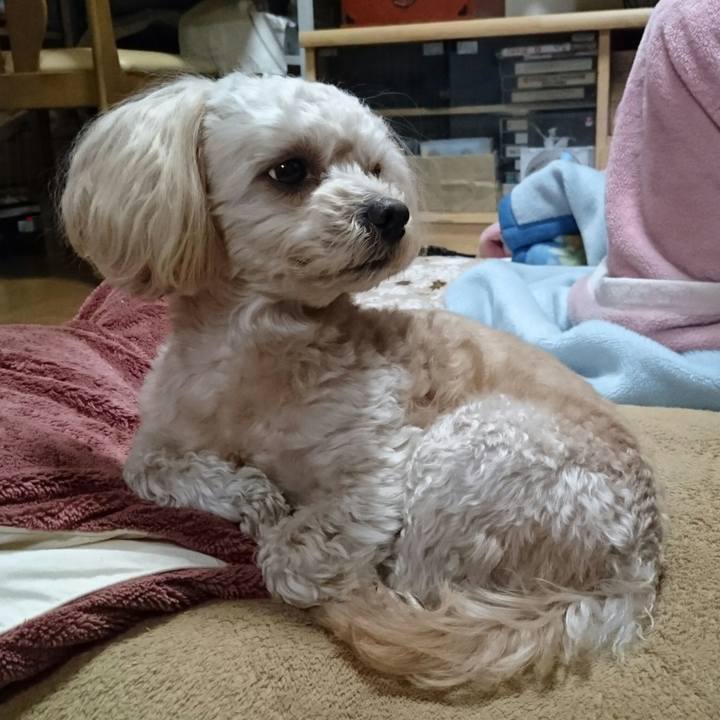 9b885623 e95e 469e bb46 487204da6a3d