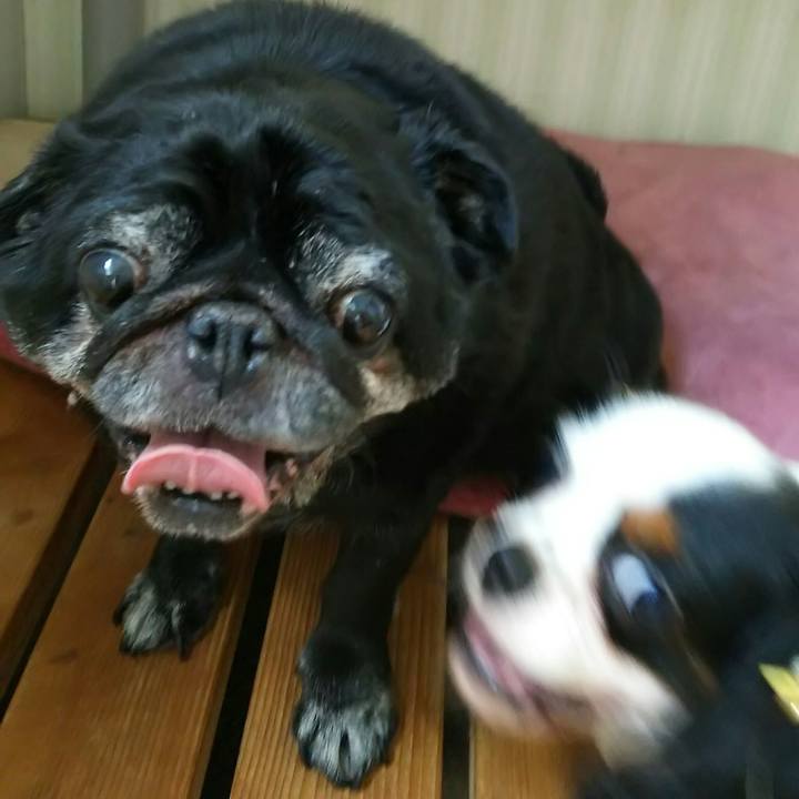 9b887264 ae5d 462a 9e99 646ece7e93fe