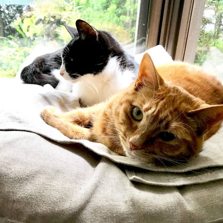 9b88754d 1100 4615 a658 b9211526a7c6