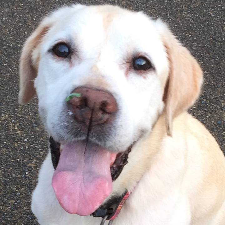 9b88bbc3 399c 443c 9a16 d2f0c252ba3d