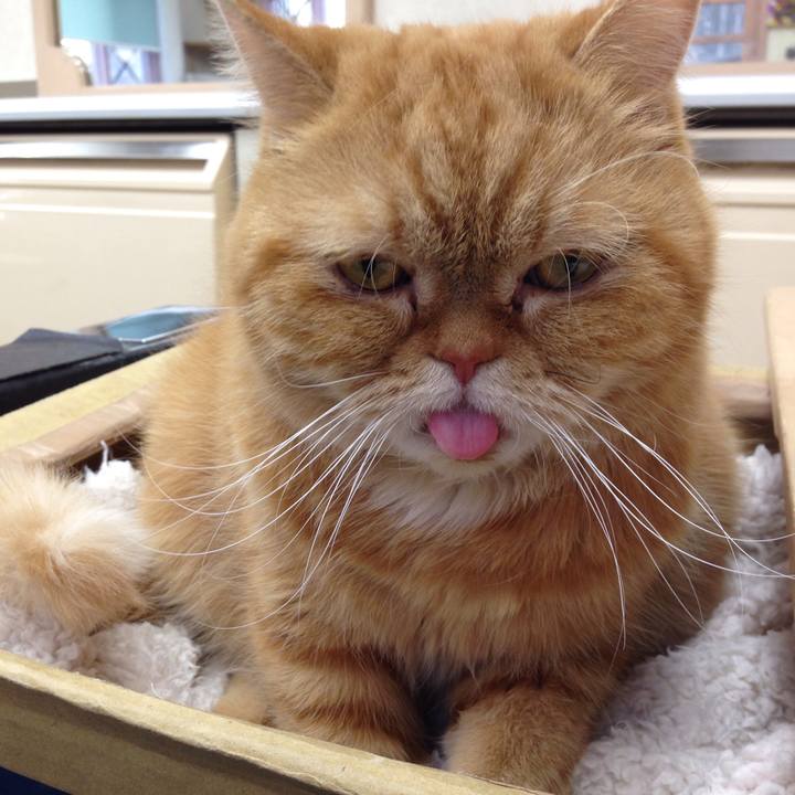 9b88c0b1 13eb 4d1b 9791 f079ebcf85ab