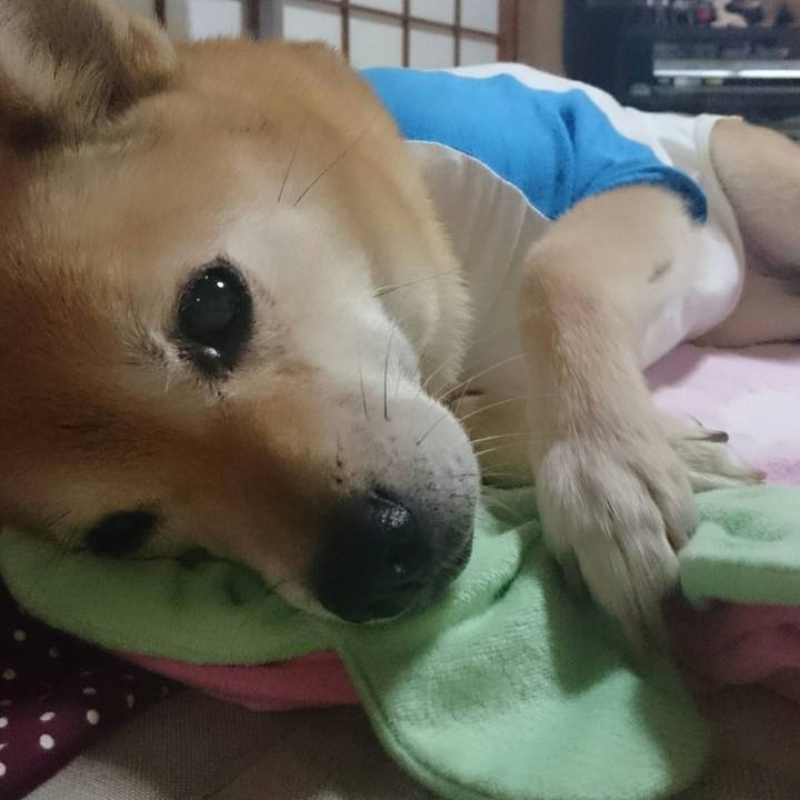 9b88c34f 524a 4feb 8b5d d1d3c13e69c9