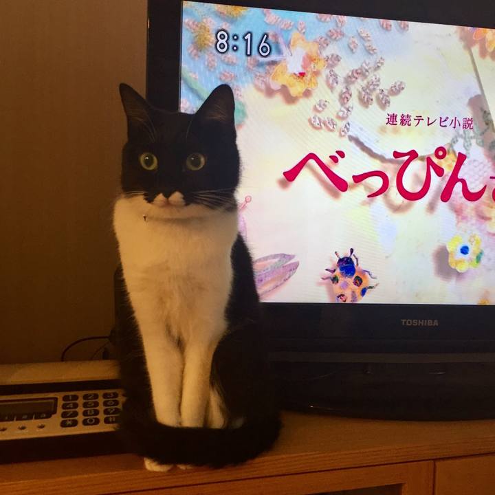 9b88d914 1b22 4a71 9cc7 c55d630a8f4b