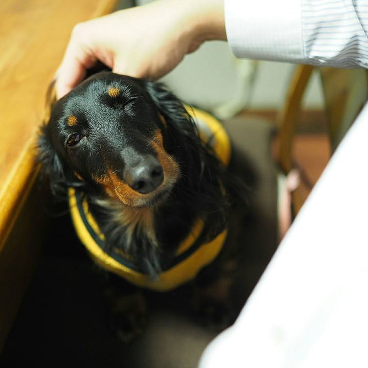 9b88f3d6 edbf 4a57 8403 6d31515395da