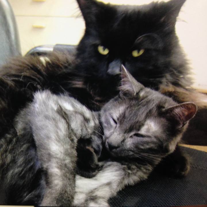 9b8995a3 cd6e 4269 9f03 cd1f6bc38237