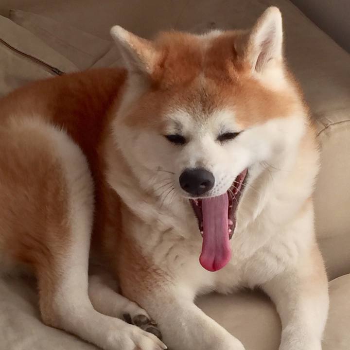 9b899737 5874 47a4 b525 1be143623827