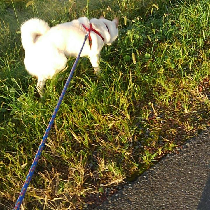 9b89dde0 b884 4cb8 9d7d e8602a3224ce