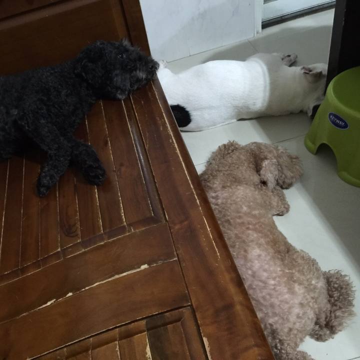 9b8a06d7 326b 4fc4 9081 268aea5cd172