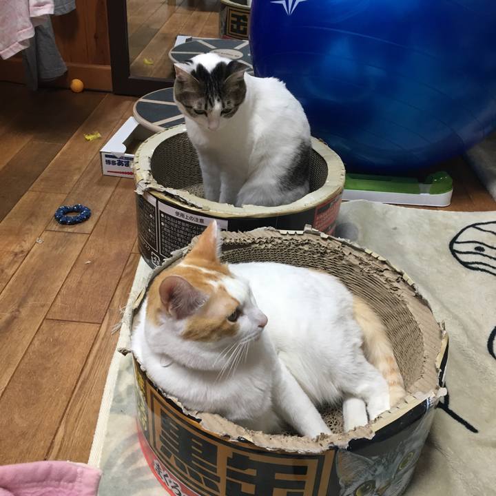 9b8bb881 cd73 4365 b6f9 6912f22ba391