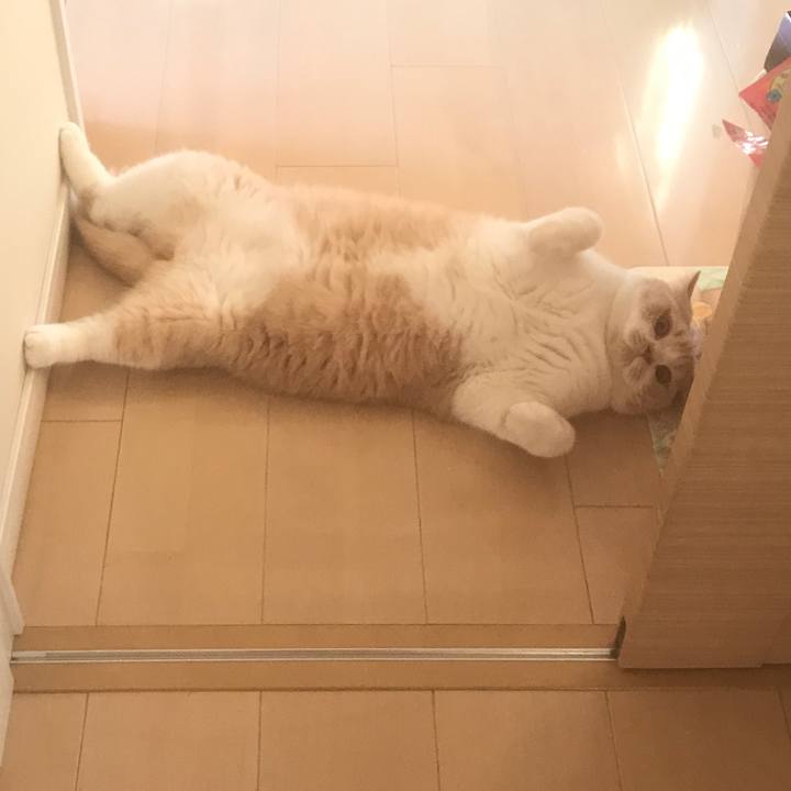 9b8c2d4d df9b 412d 859f 617fe430c764