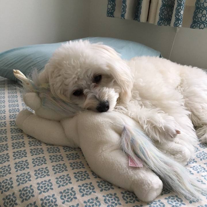 9b8d3414 33fa 4395 9735 ec165c0c649a