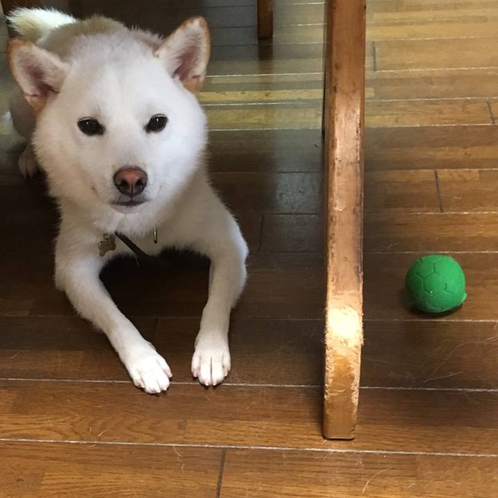 9b8d3d5c 646a 46ac 949c 776bd201b8e6