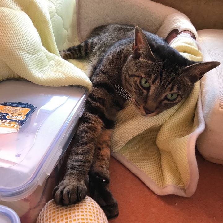 9b8d4432 49fd 411c 9eb5 4995ff060eac