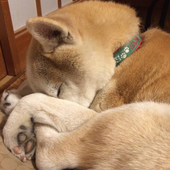 9b8de8ef d783 469d adf6 e0984a5c9171