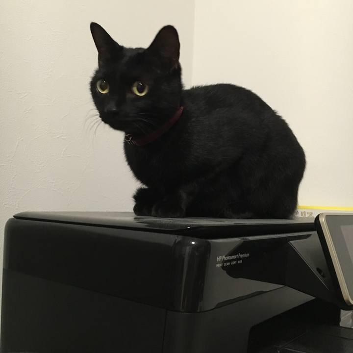 9b8eef53 cad8 4ec6 bfef 41189a5c0be9