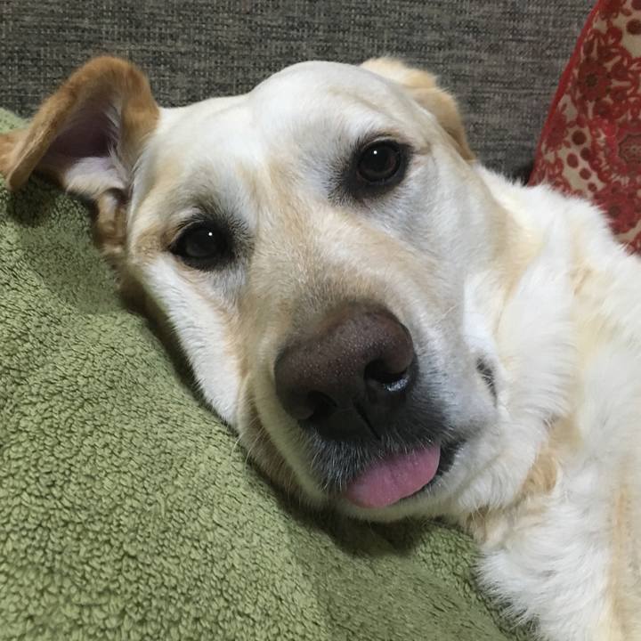 9b9051e4 2cd4 4f5e 973f e8f8d8aa1b4e