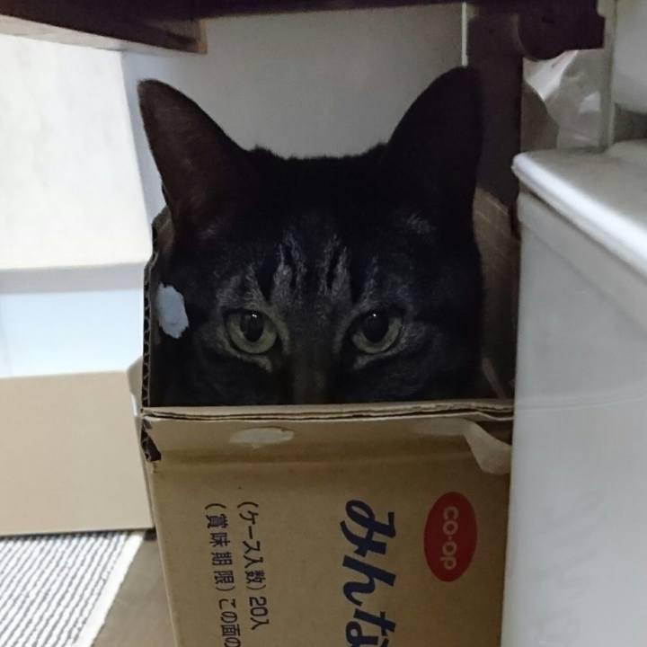 9b917e71 c7bd 4e88 b3f7 0336346db9bc