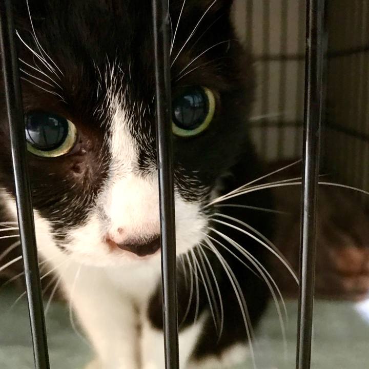 9b91c5b7 d8ff 4826 8f7e 50f8c8bb8257