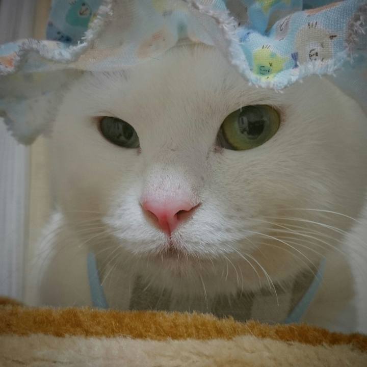 9b91d649 6ae5 45da a1c6 a4927f5764be