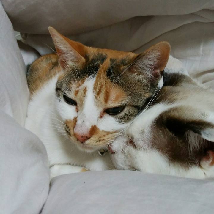 9b923fe2 31dd 49f3 be70 7f75e7df7eba