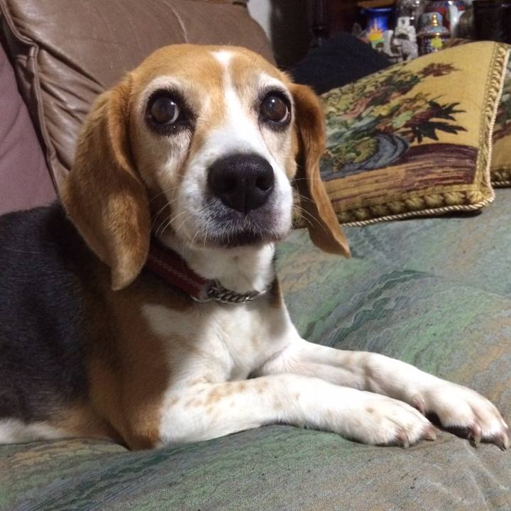 9b93163f 99c3 4ba0 8ea2 94c85814e7af