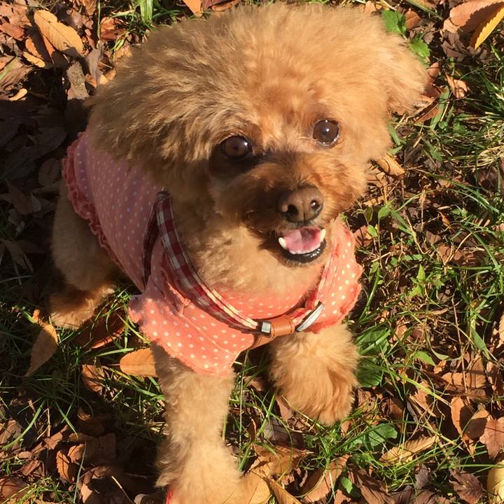 9b937855 fa92 4c2c b8be 4edbc0d735ae