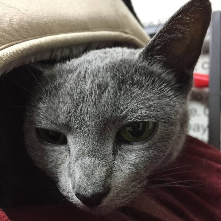 9b93e428 c912 44ec a7cb b9464feeb932