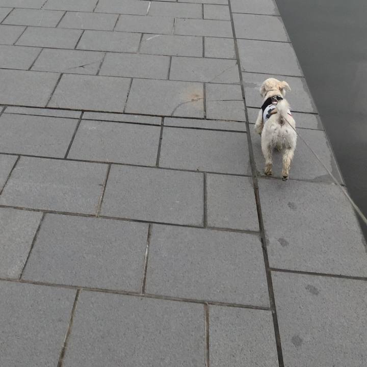 9b950c85 04c3 4729 b9d4 cc4241ba0196