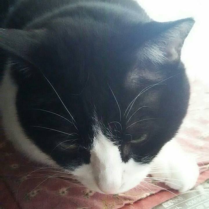 9b951d9d c190 4f12 a3f1 c107b1d004bf