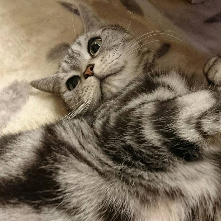 9b960b61 a4b0 4b26 a8c7 0f5e42c2b77d