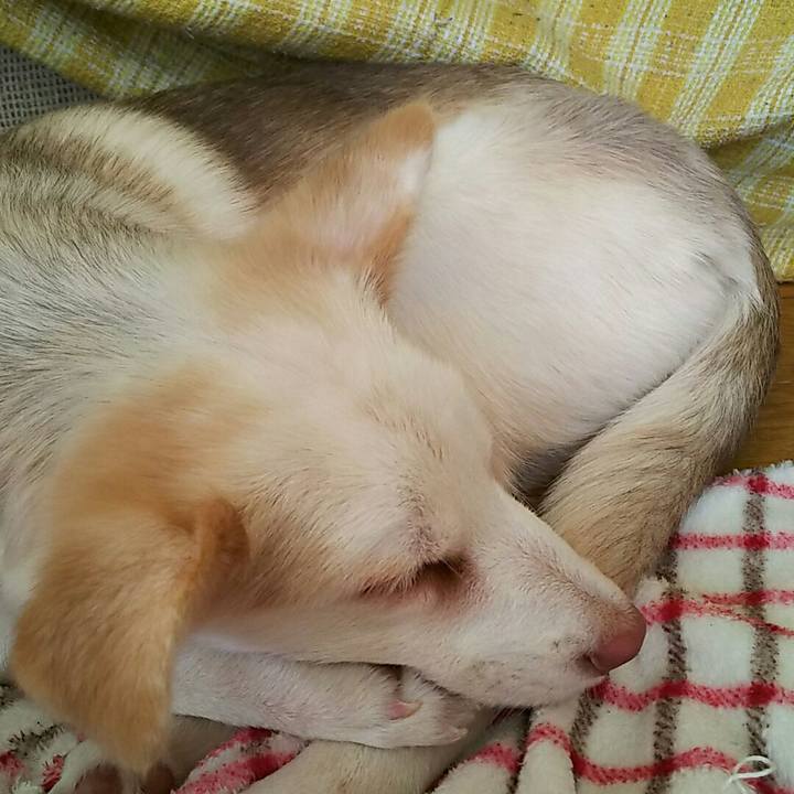 9b962d34 3b39 4d12 82f9 f84aabf44682