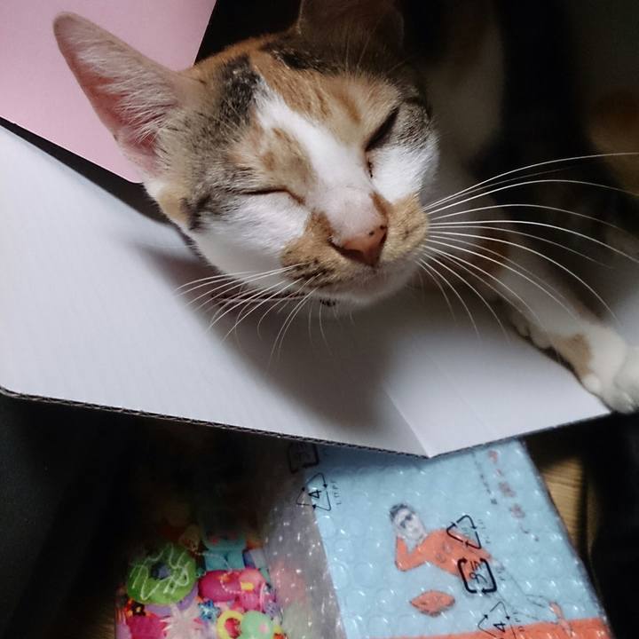 9b990cd1 be53 4faa ab82 70433fa813f8