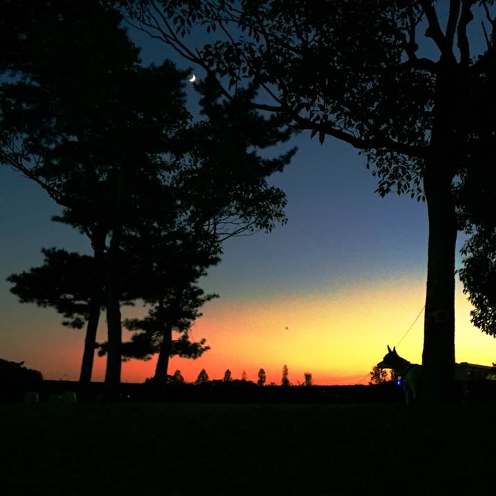 9b991a73 1c53 49b4 af57 78a9d28e5ab9