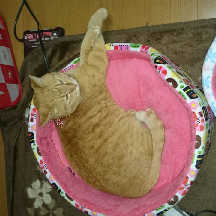 9b9978a1 bfc8 430b 8e9c 298f217eb5e4