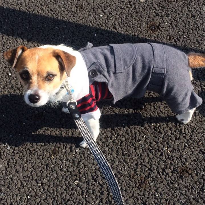 9b9999d5 47ba 4ce4 94e2 e041cbfebc58