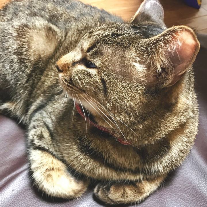 9b99a77f 8f7b 4118 9359 a14e976eb34b