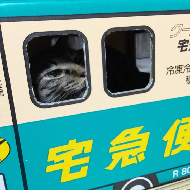 9b99dd4a b4aa 4cbe af3e ab3bd2c50354