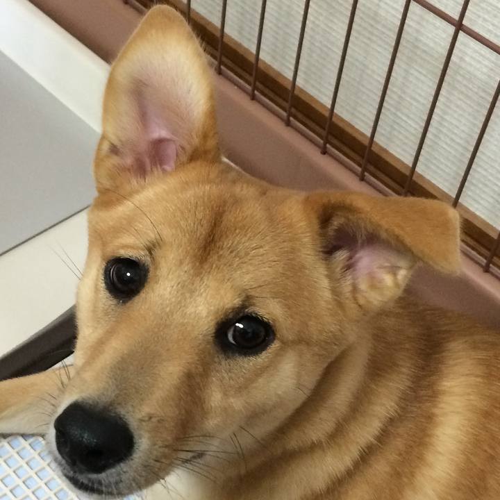 9b99ebe7 54d9 4513 924b 9f1260f601a1