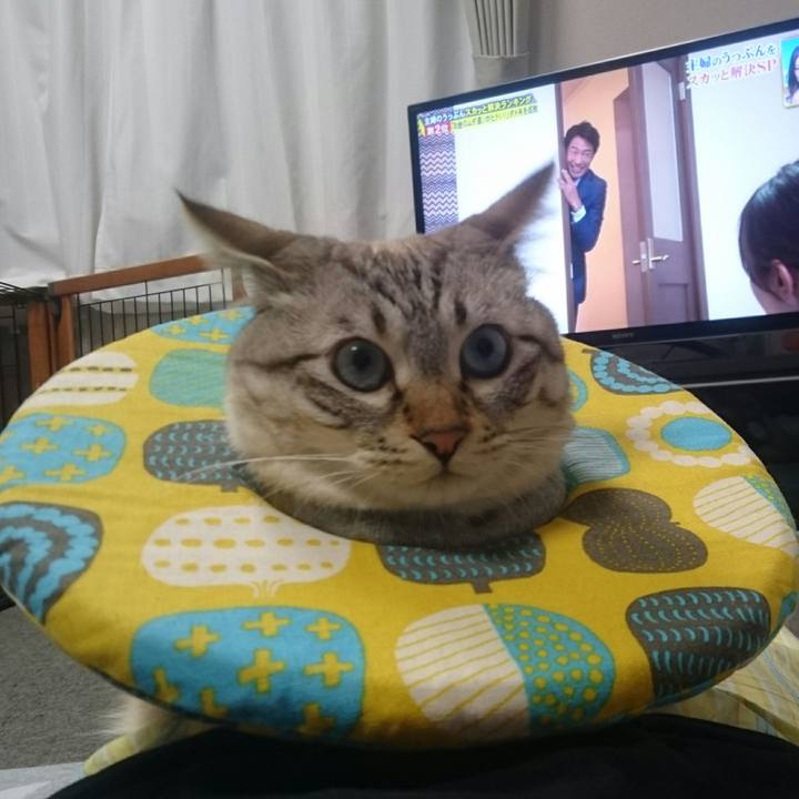 9b9a1835 6841 4a87 a7f5 446b23691686