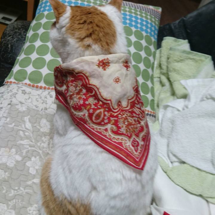 9b9a1907 aa1c 426f aa72 716ed5b395f2