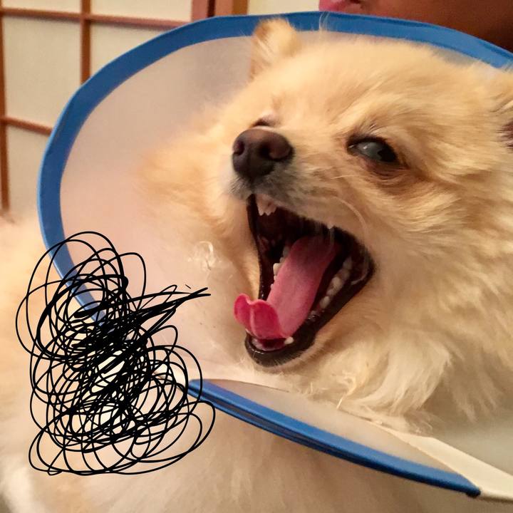 9b9a7495 3fb3 418b 8453 b8bfb8abb72e