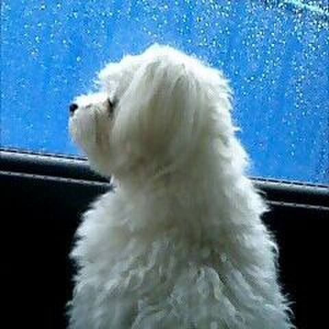 9b9bd0ed f9b9 48a6 8194 bf38f75c4ac4