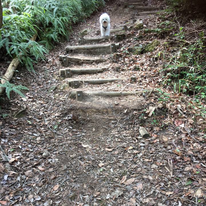 9b9c7cae a932 4659 aac8 a538046fcc8a