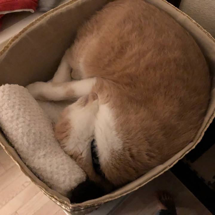 9b9c8643 eccf 4003 bd0a 92ea6e69cc6e