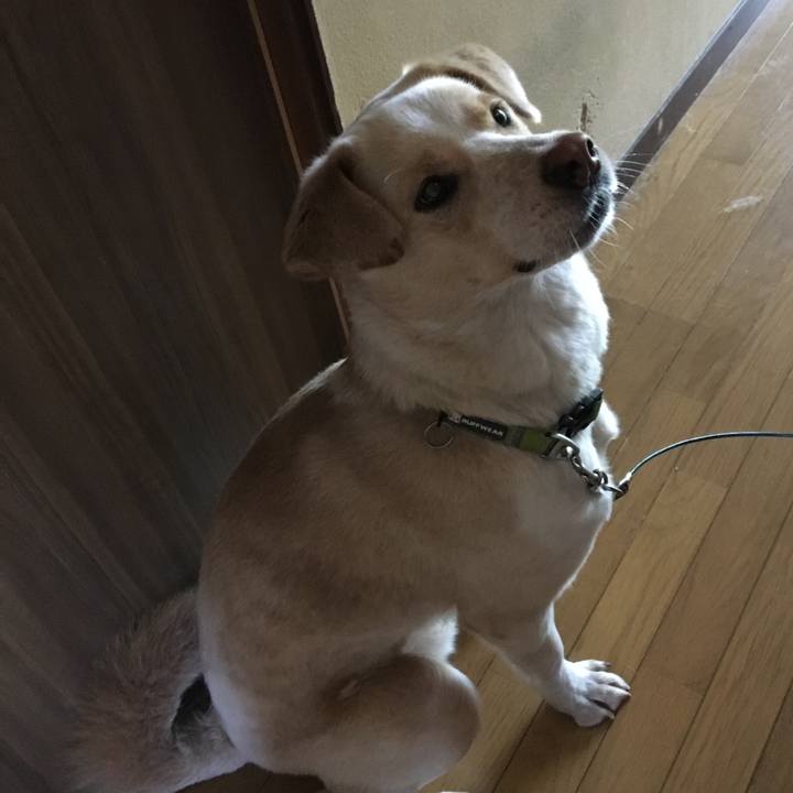 9b9c8dde 02e8 4a39 b6d0 c08c074fb4f3