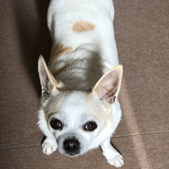 9b9d040f e3cf 4027 8c84 594f599b7dc3