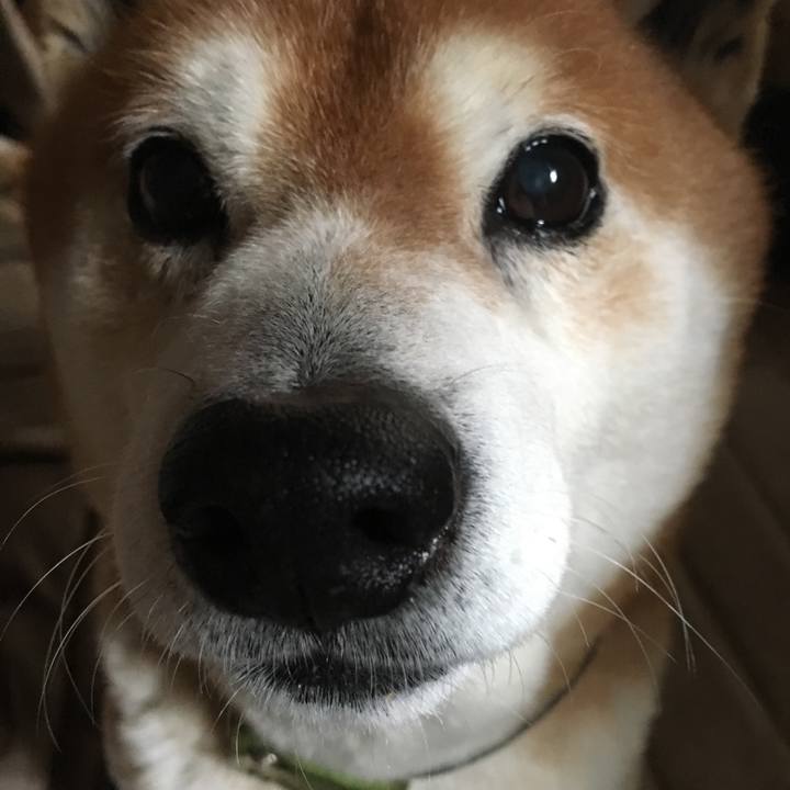 9b9d0d46 70bd 4990 8a68 6e9616358fd1