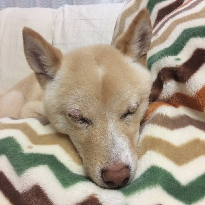 9b9e064b cd45 4ac2 9f40 e53184e6f1e5