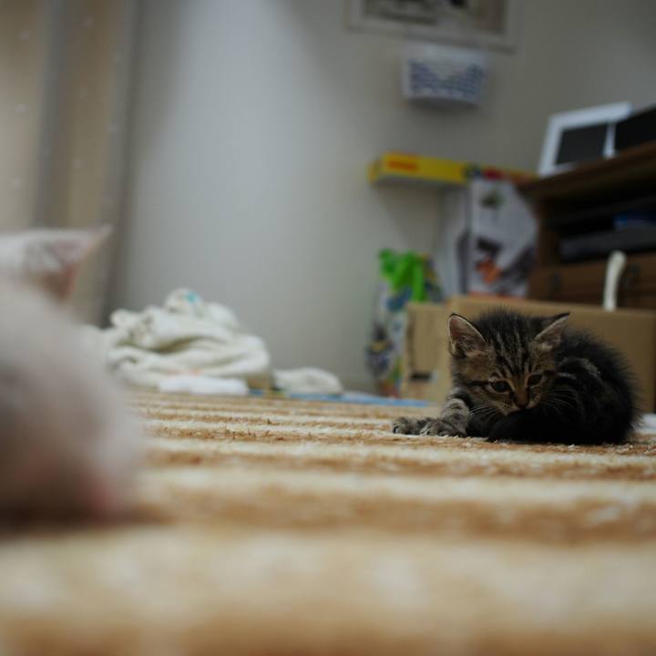 9b9e1132 a6fa 4c46 86c9 0f6813503b10