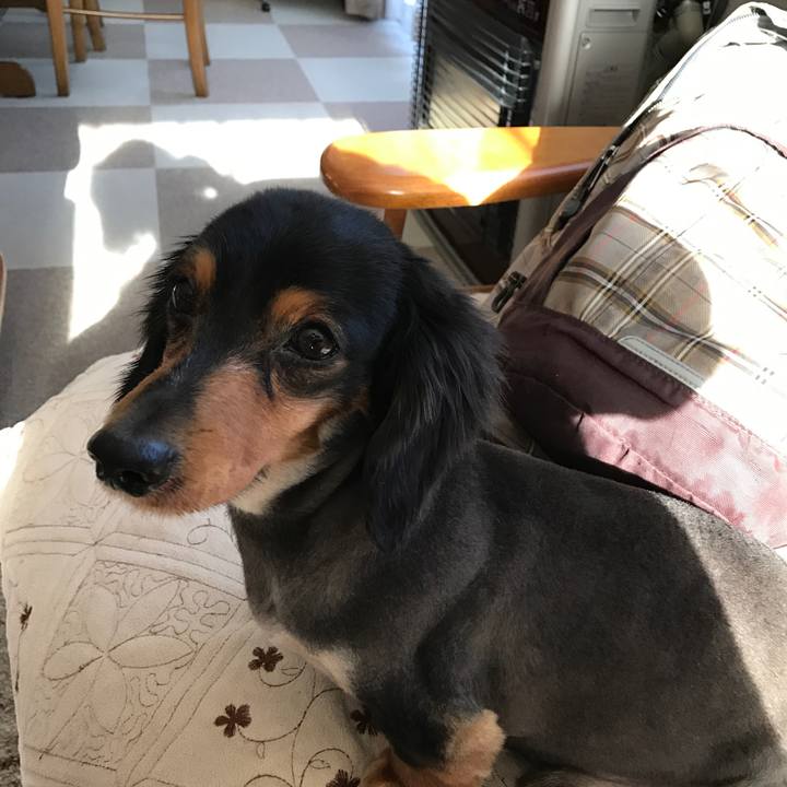 9b9e1eb0 a375 468d 83e3 0223e1e86019